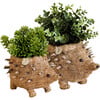 Mama and Baby Hedgehog Planter Set - Pots - 1 - thumbnail
