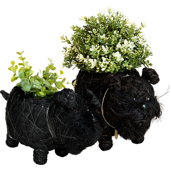 Mama and Baby Schnauzer Planter Set