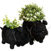 Mama and Baby Schnauzer Planter Set - Pots - 1 - thumbnail