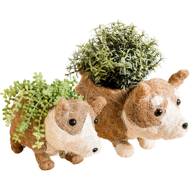 Mama and Baby Corgi Planter Set
