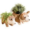 Mama and Baby Corgi Planter Set - Pots - 1 - thumbnail