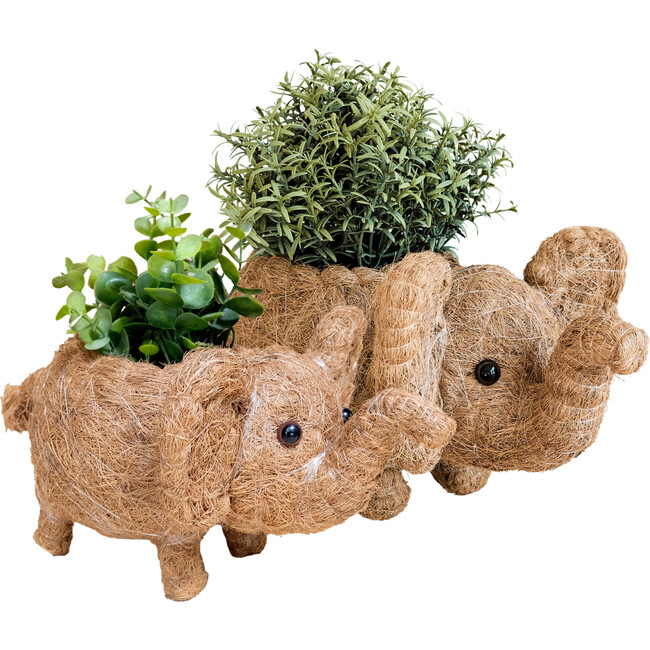 Mama and Baby Elephant Planter Set