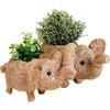 Mama and Baby Elephant Planter Set - Pots - 1 - thumbnail