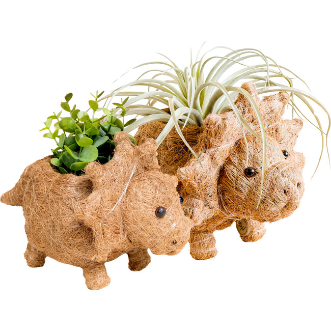Mama and Baby Triceratops Planter Set