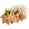 Mama and Baby Triceratops Planter Set - Pots - 1 - thumbnail