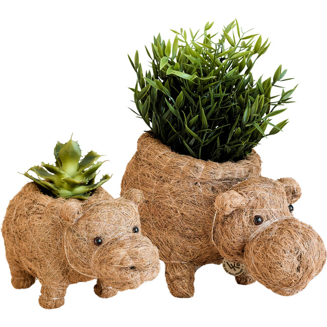 Mama and Baby Hippo Planter Set