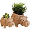 Mama and Baby Hippo Planter Set - Pots - 1 - thumbnail