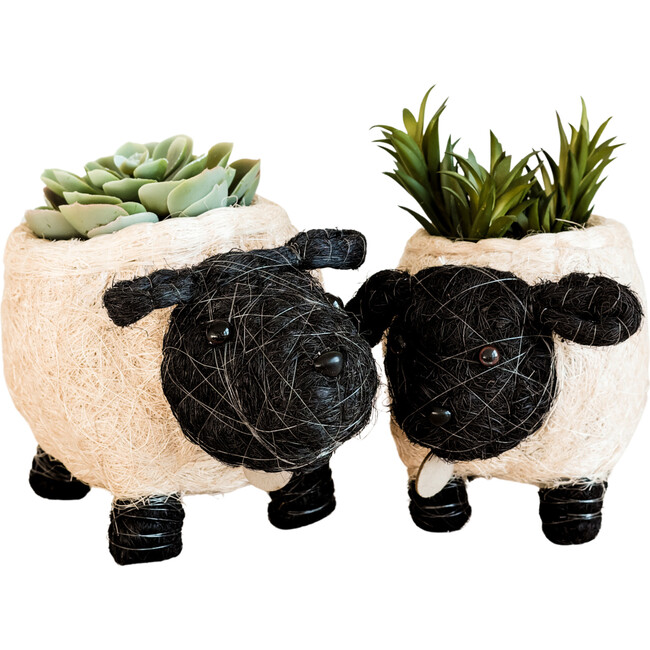 Mama and Baby Sheep Planter Set