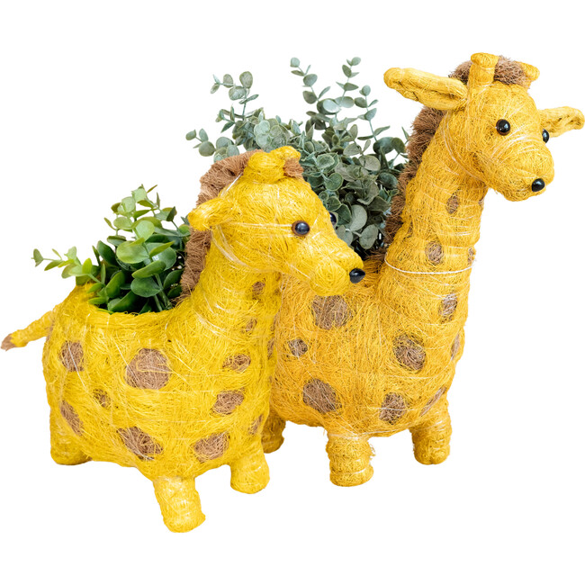 Mama and Baby Giraffe Planter Set