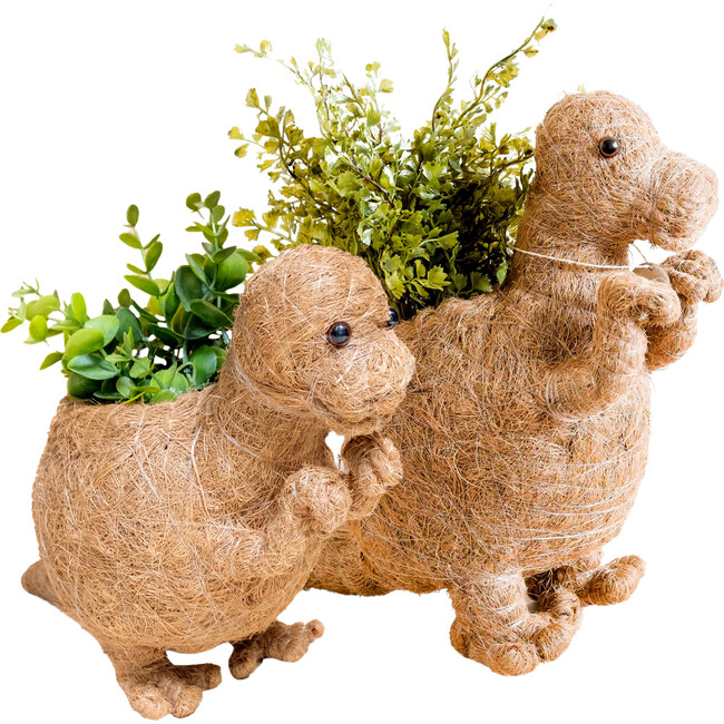 Mama and Baby T-Rex Planter Set