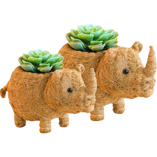 Mama and Baby Rhino Planter Set