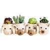 Coco Coir Animal Head Plant Pots - Animal Heads - 1 - thumbnail