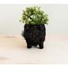 Mama and Baby Schnauzer Planter Set - Pots - 2