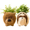 Chow Chow and Shih Tzu Planter Set - Pots - 1 - thumbnail