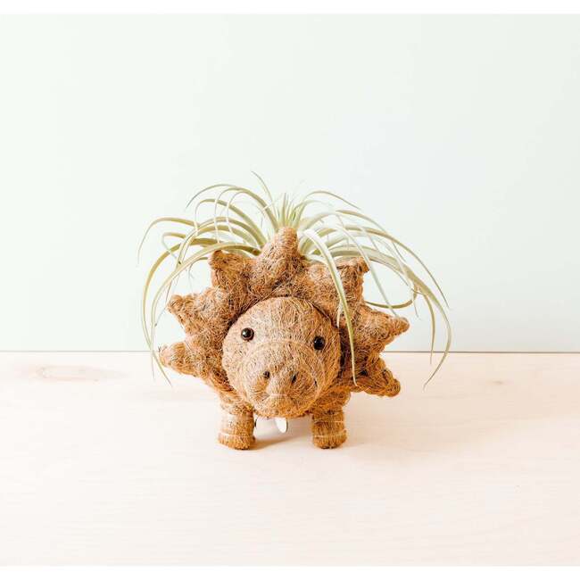 Mama and Baby Triceratops Planter Set - Pots - 2