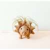 Mama and Baby Triceratops Planter Set - Pots - 2