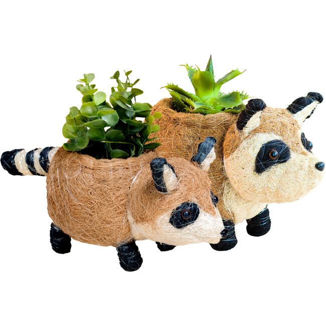 Mama and Baby Raccoon Planter Set