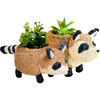 Mama and Baby Raccoon Planter Set - Pots - 1 - thumbnail