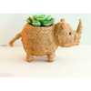 Mama and Baby Rhino Planter Set - Pots - 2