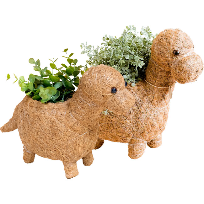 Mama and Baby Brontosaurus Planter Set