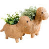 Mama and Baby Brontosaurus Planter Set - Pots - 1 - thumbnail