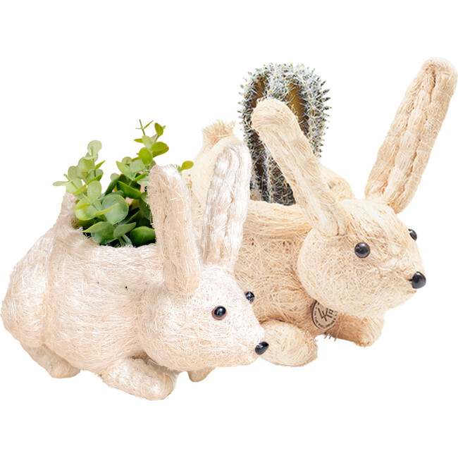 Mama and Baby Bunny Planter Set