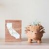 Mama and Baby Hedgehog Planter Set - Pots - 2