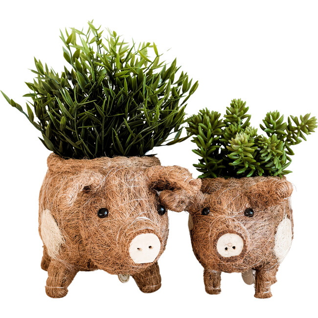 Mama and Baby Pig Planter Set