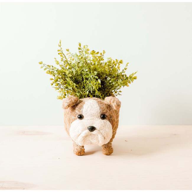 Mama and Baby English Bulldog Planter Set - Pots - 2