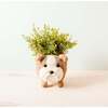 Mama and Baby English Bulldog Planter Set - Pots - 2