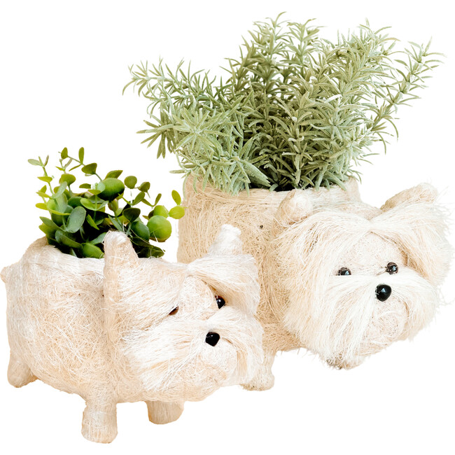 Mama and Baby Westie Planter Set
