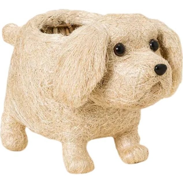 White Labrador and Golden Retriever Planter Set - Pots - 3