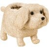 White Labrador and Golden Retriever Planter Set - Pots - 3