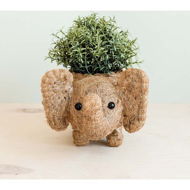 Mama and Baby Elephant Planter Set - Pots - 3