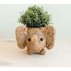 Mama and Baby Elephant Planter Set - Pots - 3