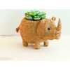 Mama and Baby Rhino Planter Set - Pots - 3
