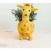 Mama and Baby Giraffe Planter Set - Pots - 2