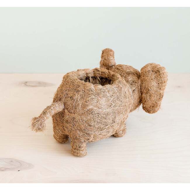Mama and Baby Elephant Planter Set - Pots - 4
