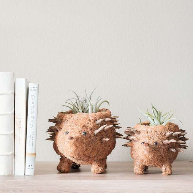 Mama and Baby Hedgehog Planter Set - Pots - 3