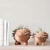 Mama and Baby Hedgehog Planter Set - Pots - 3
