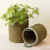 Olive Cylinder Floor Baskets, Set of 2 - Storage - 2