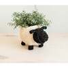 Mama and Baby Sheep Planter Set - Pots - 3