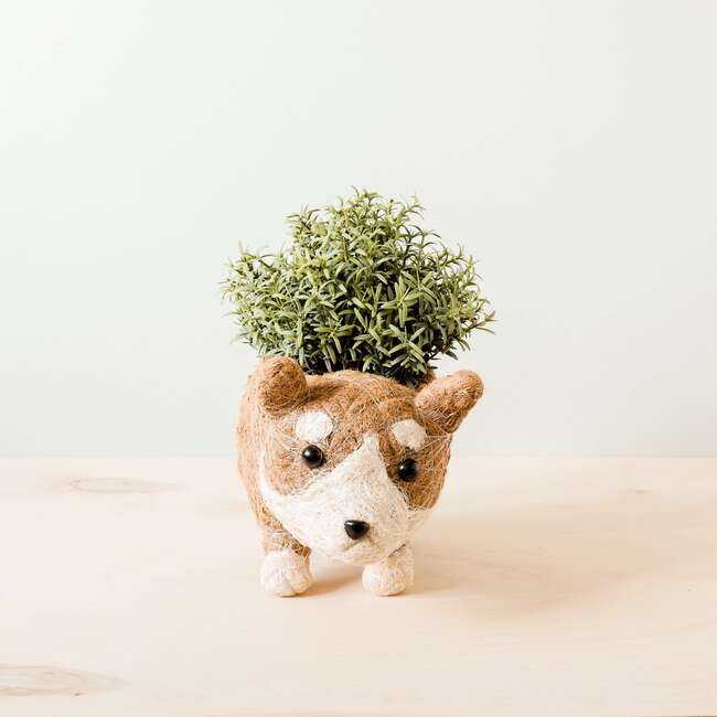 Mama and Baby Corgi Planter Set - Pots - 2