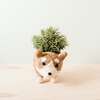 Mama and Baby Corgi Planter Set - Pots - 2