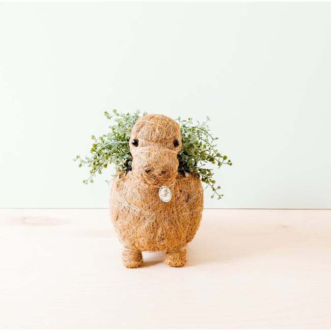 Mama and Baby Brontosaurus Planter Set - Pots - 2