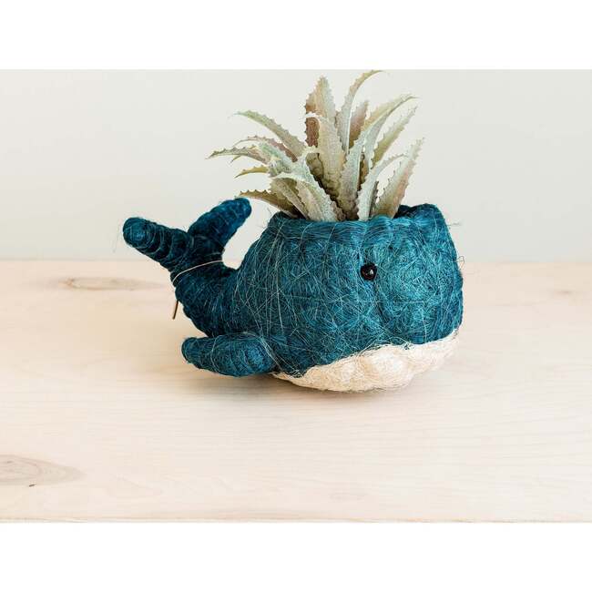 Mama and Baby Whale Planter Set