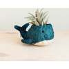 Mama and Baby Whale Planter Set - Pots - 2