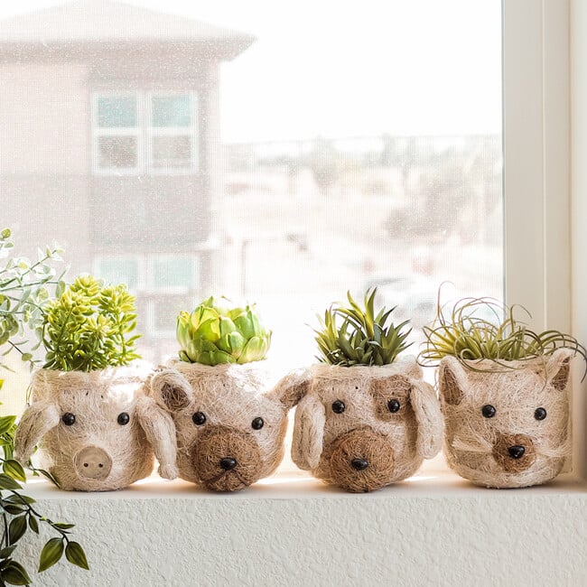 Coco Coir Animal Head Plant Pots - Animal Heads - 2