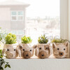 Coco Coir Animal Head Plant Pots - Animal Heads - 2