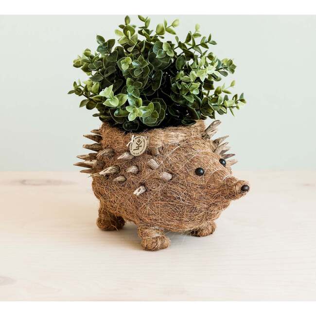 Mama and Baby Hedgehog Planter Set - Pots - 4